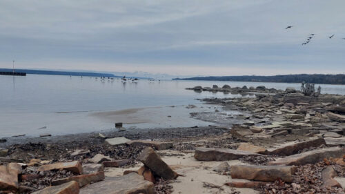 photo of wiarton beach with rocky shoreline and birds flying in the air