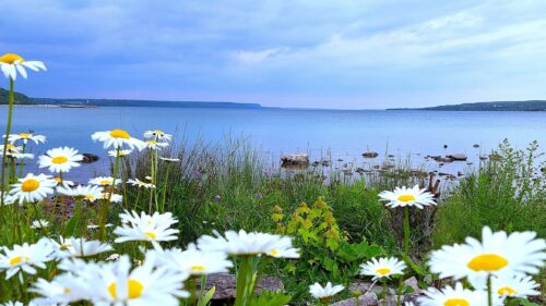 Wiarton Beach in Spring